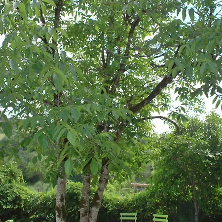 Penzion La Ferme De Roquedure *