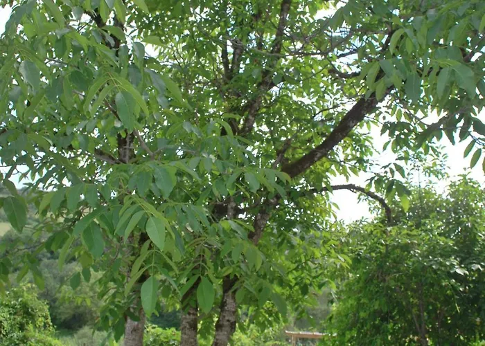 Penzion La Ferme De Roquedure 3*